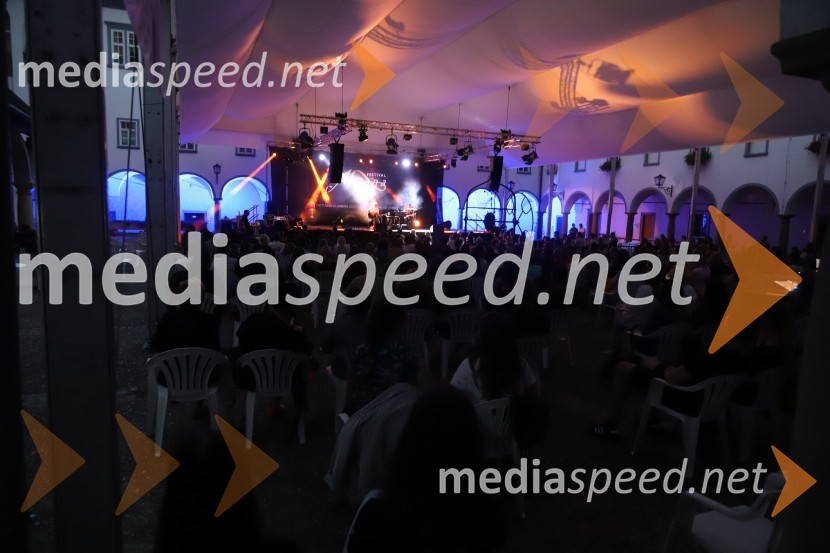 1 na 1: Gušti in Tomi Meglič, koncert v sklopu festivala Arsana