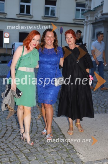 1 na 1: Gušti in Tomi Meglič, koncert v sklopu festivala Arsana