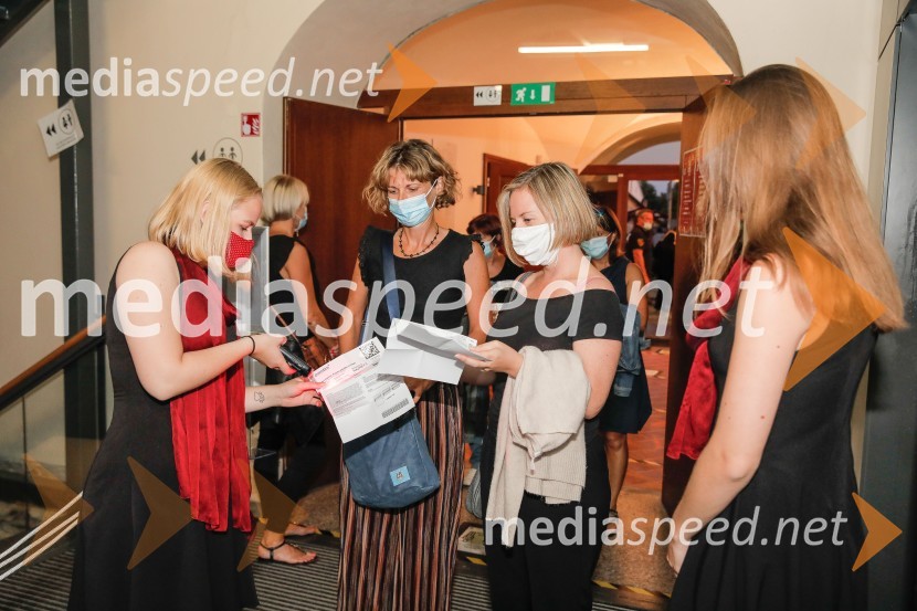 Hamo & Tribute 2 Love, koncert bluesovske improvizacije