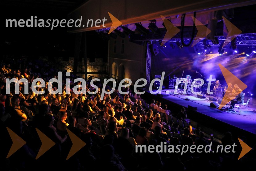 Hamo & Tribute 2 Love, koncert bluesovske improvizacije