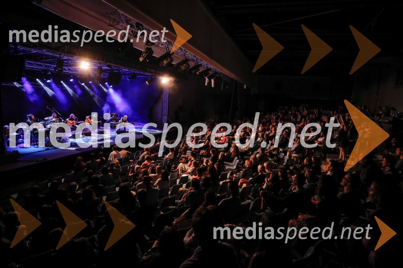 Hamo & Tribute 2 LoveHamo & Tribute 2 Love, koncert bluesovske improvizacije