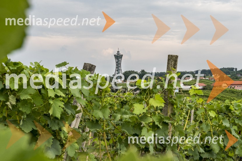 Stolp VinariumVečerja z razgledom na stolpu Vinarium Lendava