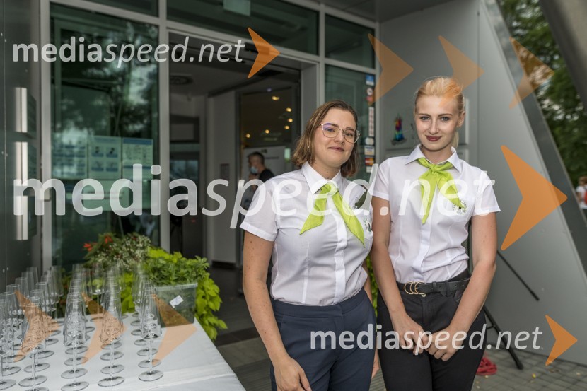 Večerja z razgledom na stolpu Vinarium Lendava