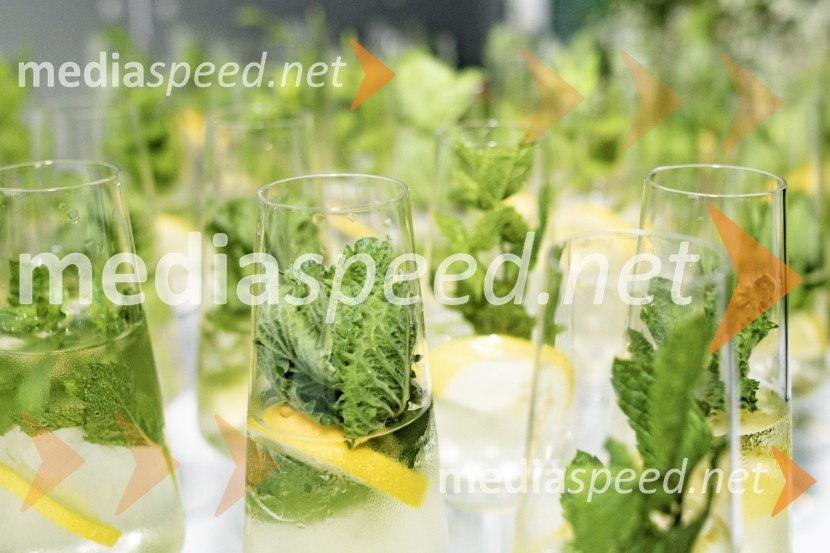 Večerja z razgledom na stolpu Vinarium Lendava