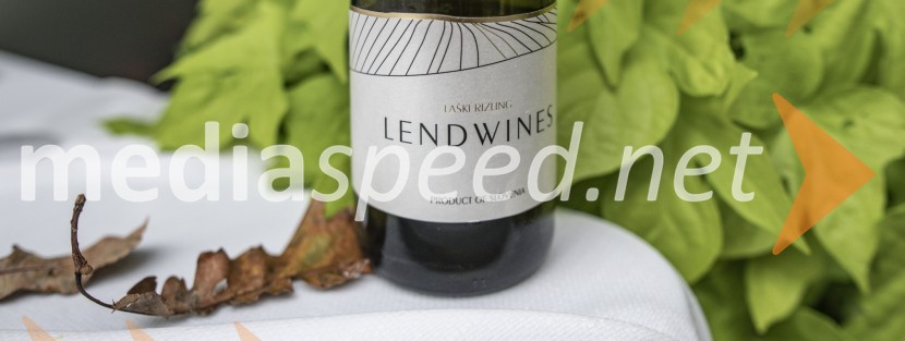 Večerja z razgledom na stolpu Vinarium Lendava