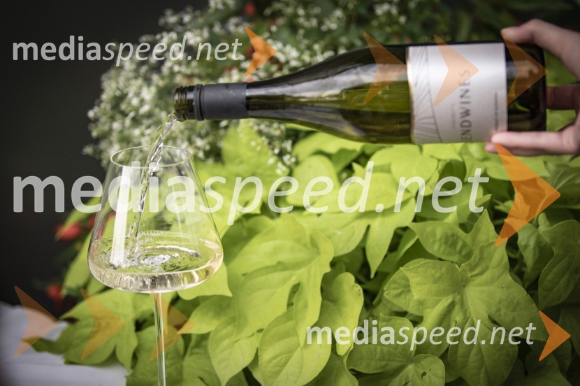 Večerja z razgledom na stolpu Vinarium Lendava