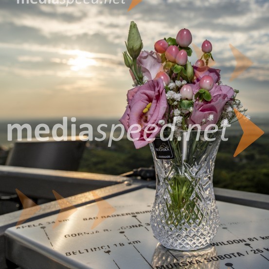 Večerja z razgledom na stolpu Vinarium Lendava