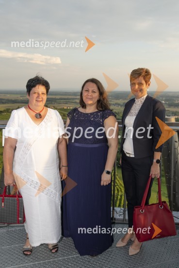 Večerja z razgledom na stolpu Vinarium Lendava