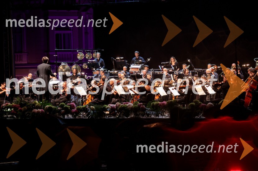 Orkester Slovenske filharmonijeAna Netrebko in Jusif Ejvazov, koncert opernih arij, 68. Ljubljana Festivala