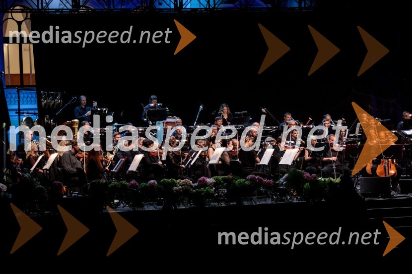 Ana Netrebko in Jusif Ejvazov, koncert opernih arij, 68. Ljubljana Festivala