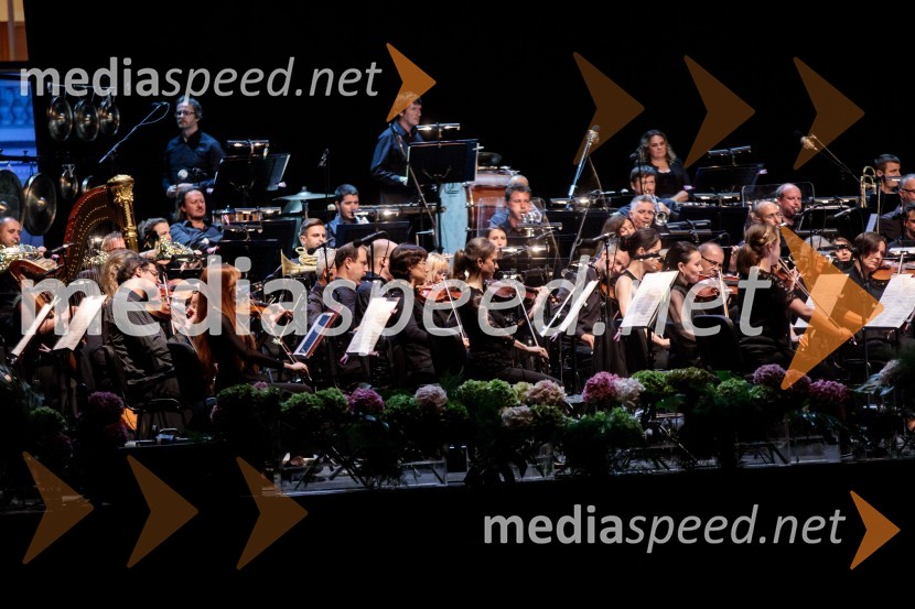 Ana Netrebko in Jusif Ejvazov, koncert opernih arij, 68. Ljubljana Festivala