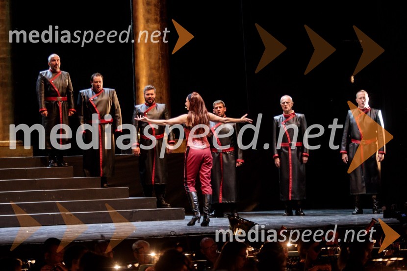  Dragana Radaković, operna pevkaNabucco, opera v okviru 68. Ljubljana Festivala