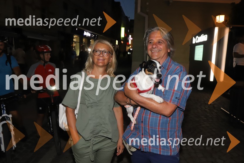  ... ;  Zvonko Bartok, slikarSiddharta, Leonart in petkovo dogajanje, Festival Lent 2020