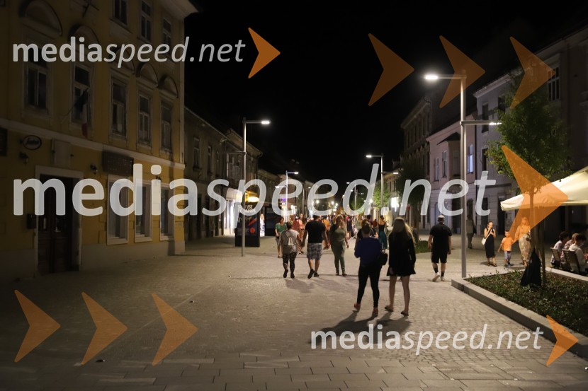 Siddharta, Leonart in petkovo dogajanje, Festival Lent 2020