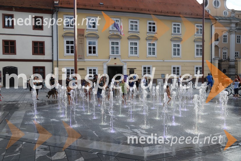 Dimek in Davor Klarič, Emkej, Muzičari, Bojan Emeršič in nedeljsko dogajanje, Festival Lent 2020