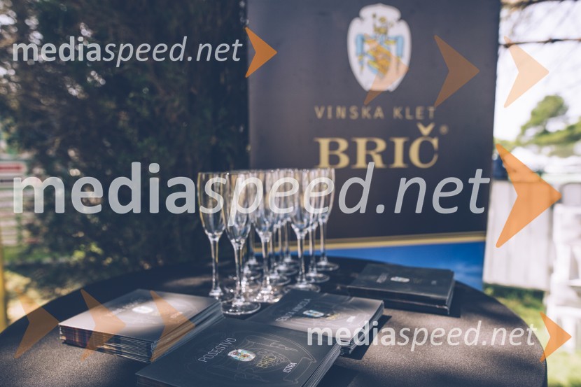 Porsche Business Challenge 2020, dobrodelni teniški turnir