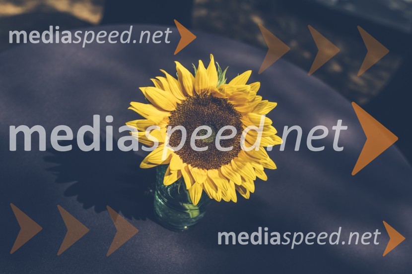 Porsche Business Challenge 2020, dobrodelni teniški turnir