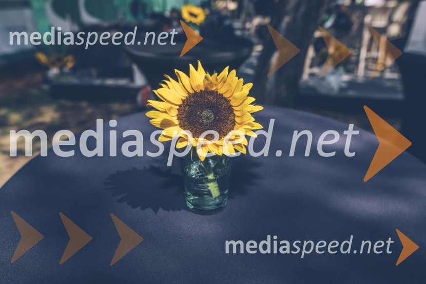 Porsche Business Challenge 2020, dobrodelni teniški turnir