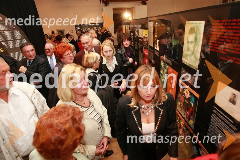 Obiskovalci
Zlata petdeseta, otvoritev razstave Ivo Robić