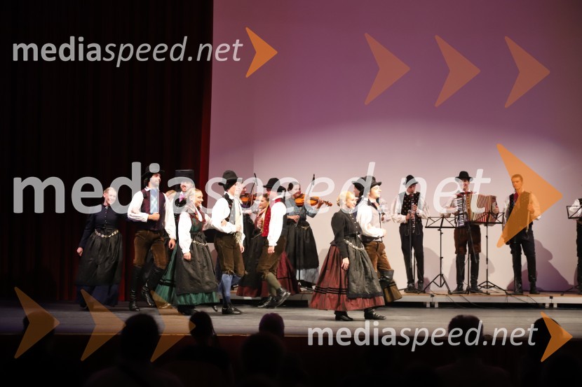 Akademska folklorna skupina Študent, MariborFolkart, Koala voice in torkovo dogajanje, Festival Lent 2020