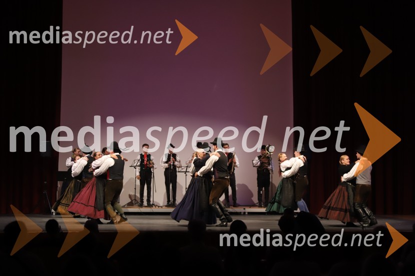 Akademska folklorna skupina Študent, MariborFolkart, Koala voice in torkovo dogajanje, Festival Lent 2020