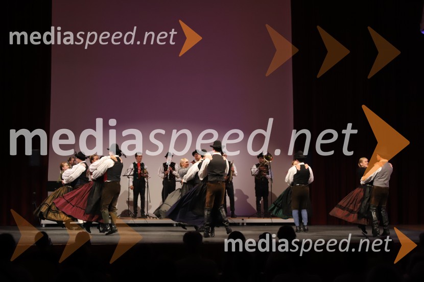 Akademska folklorna skupina Študent, MariborFolkart, Koala voice in torkovo dogajanje, Festival Lent 2020