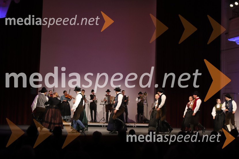 Akademska folklorna skupina Študent, MariborFolkart, Koala voice in torkovo dogajanje, Festival Lent 2020