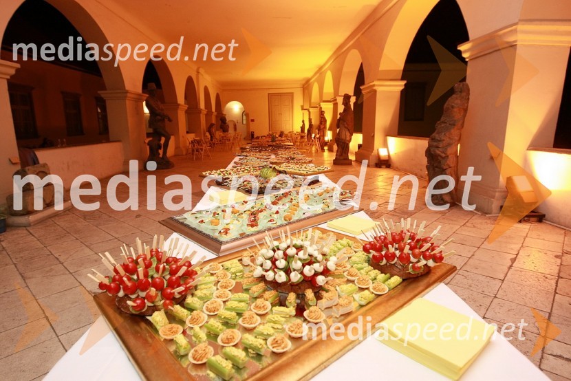 Mariborski grad, arkadeZlata petdeseta, otvoritev razstave Ivo Robić