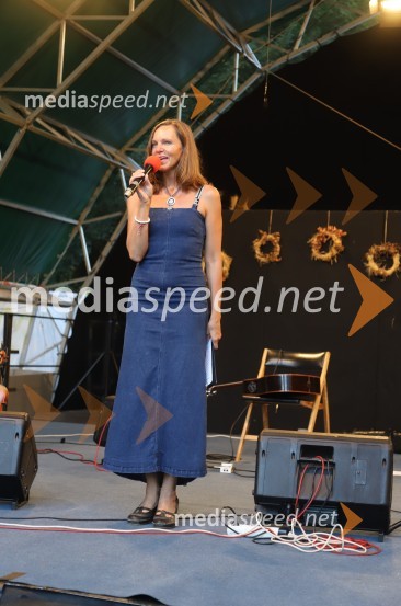 Bilbi, Vlado Kreslin in sredino dogajanje, Festival Lent 2020