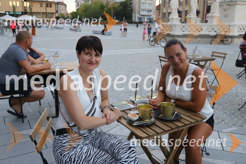  Franja  Pižmoht Potisk, novinarka;  Alenka GolubičTadej Toš, Dan D in četrtkovo dogajanje, Festival Lent 2020