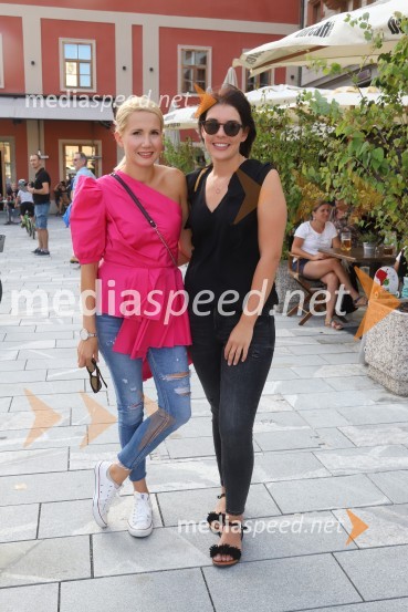  Natalija Cvetko, vodja projektov, Mediaspeed;  ... Tadej Toš, Dan D in četrtkovo dogajanje, Festival Lent 2020