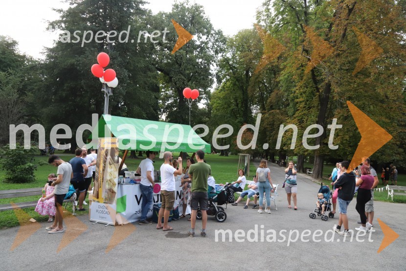 2B band, Elvis Jackson in sobotno dogajanje, Festival Lent 2020