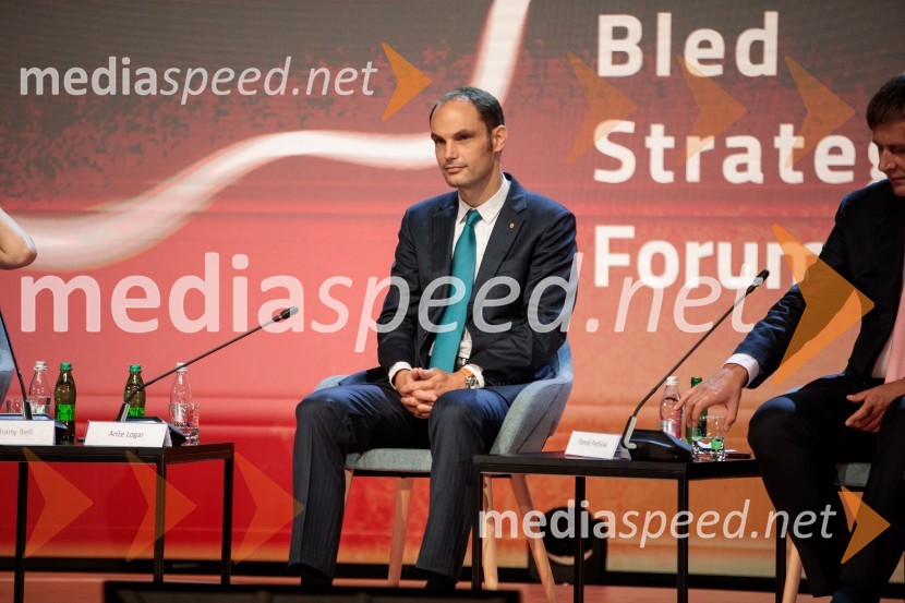  Anže Logar, minister za zunanje zadeve15. mednarodna konferenca Blejski strateški forum