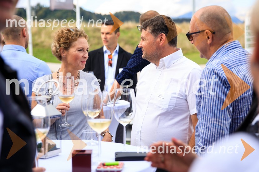 Sommerfest 2020, poletno druženje Slovensko-nemške gospodarske zbornice