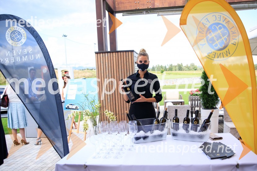 Sommerfest 2020, poletno druženje Slovensko-nemške gospodarske zbornice