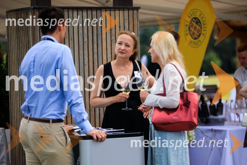 Sommerfest 2020, poletno druženje Slovensko-nemške gospodarske zbornice