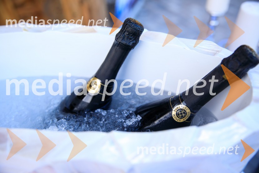 Sommerfest 2020, poletno druženje Slovensko-nemške gospodarske zbornice