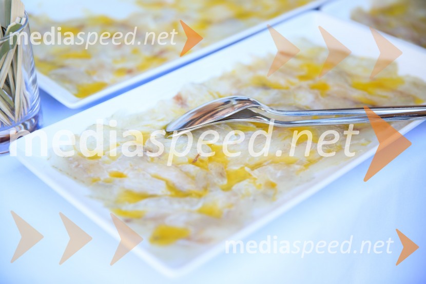 Sommerfest 2020, poletno druženje Slovensko-nemške gospodarske zbornice