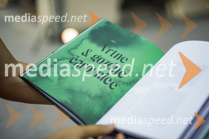 Sonce in dež, kuharska monografija Ane RošAna Roš, predstavitev kuharske monografije Sonce in dež