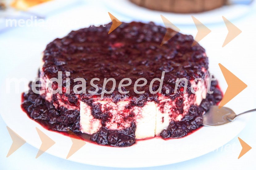 Sommerfest 2020, poletno druženje Slovensko-nemške gospodarske zbornice