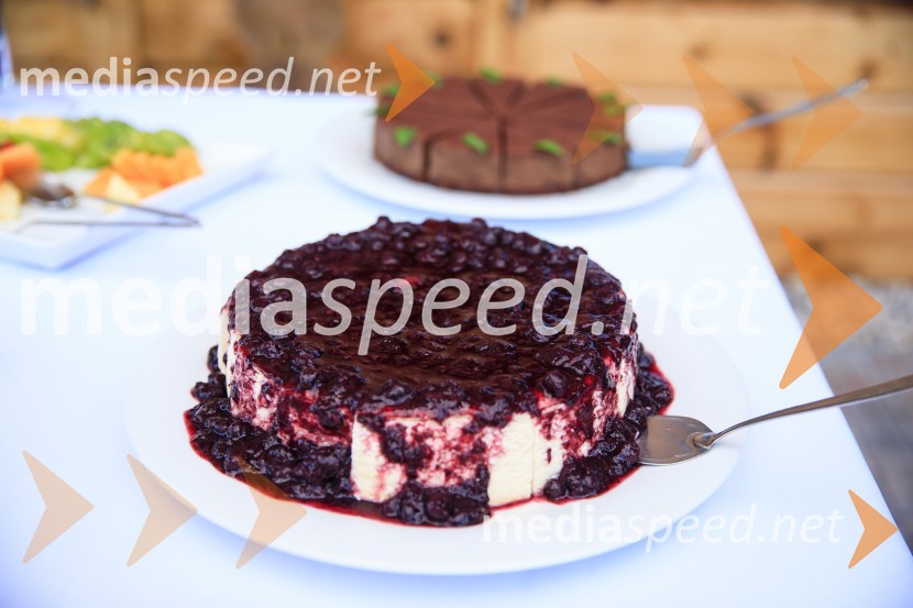 Sommerfest 2020, poletno druženje Slovensko-nemške gospodarske zbornice