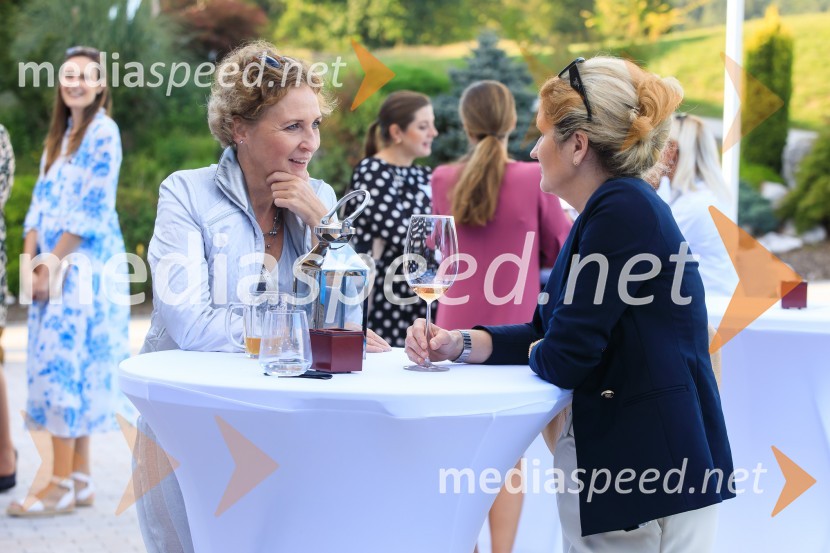 Sommerfest 2020, poletno druženje Slovensko-nemške gospodarske zbornice