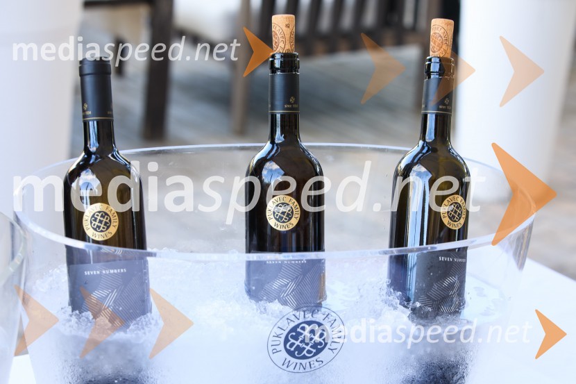 Sommerfest 2020, poletno druženje Slovensko-nemške gospodarske zbornice