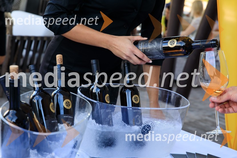 Sommerfest 2020, poletno druženje Slovensko-nemške gospodarske zbornice