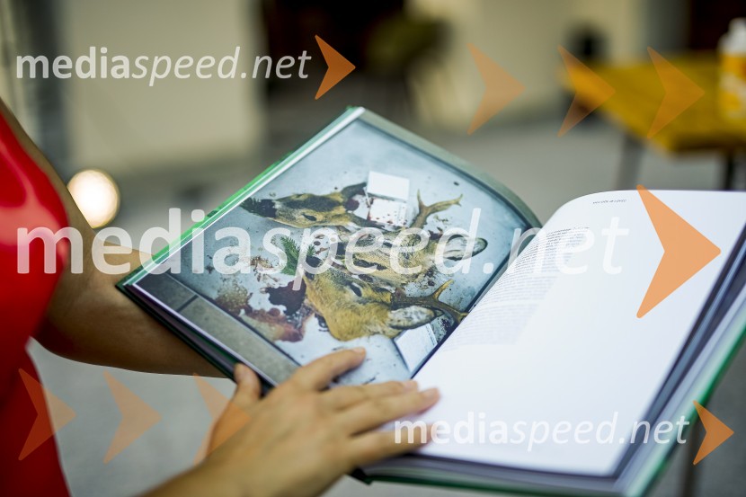 Sonce in dež, kuharska monografija Ane RošAna Roš, predstavitev kuharske monografije Sonce in dež