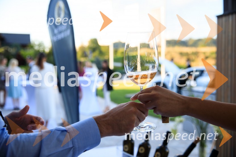 Sommerfest 2020, poletno druženje Slovensko-nemške gospodarske zbornice