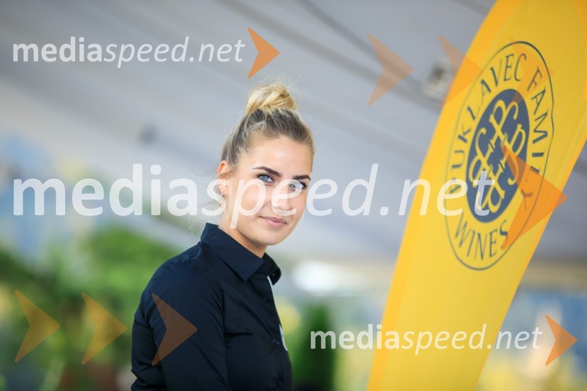 Sommerfest 2020, poletno druženje Slovensko-nemške gospodarske zbornice