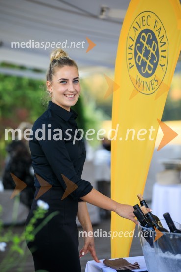 Sommerfest 2020, poletno druženje Slovensko-nemške gospodarske zbornice