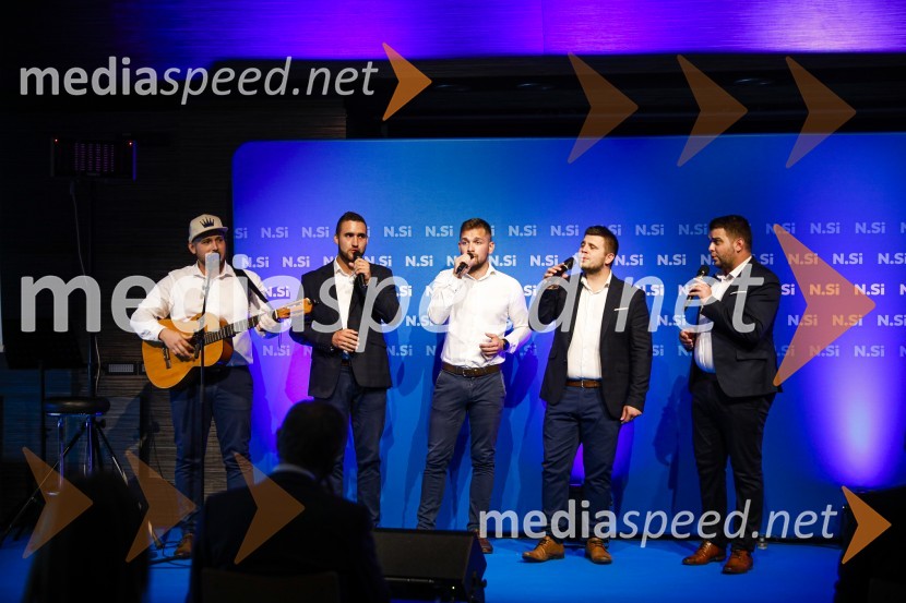 Il Divji20 let stranke Nova Slovenija