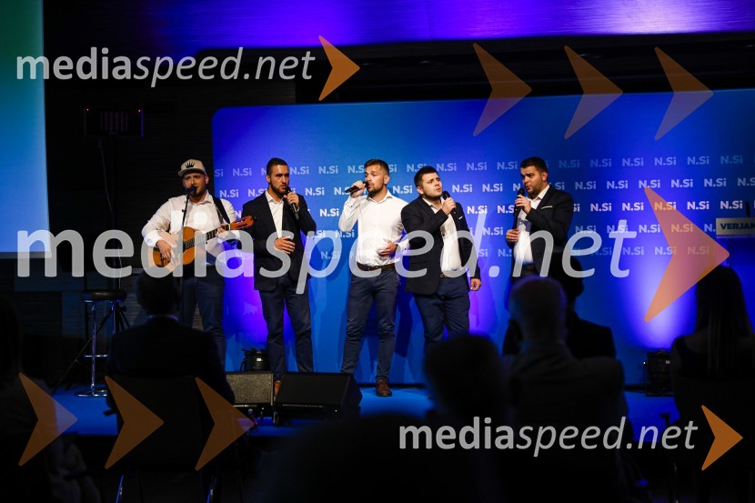 Il Divji20 let stranke Nova Slovenija